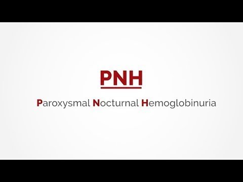 PNH: When blood machinery goes wrong