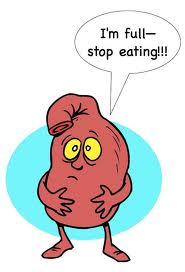 How does your body know you’re&nbsp;full?