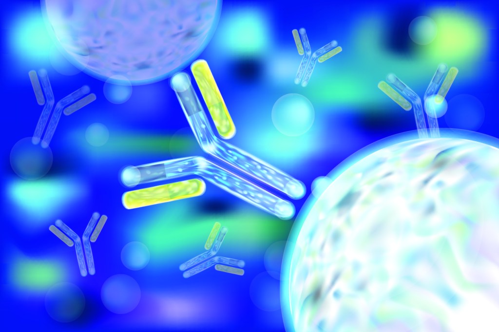 Immunology wars: The battle with HIV