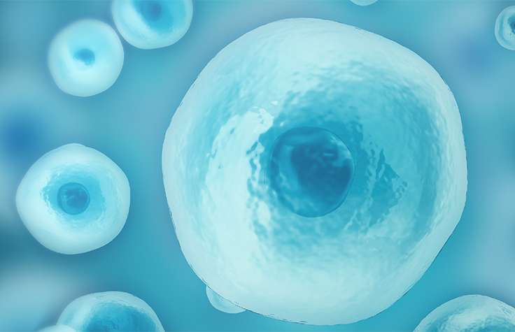 How a single-celled organism almost wiped out life on&nbsp;Earth