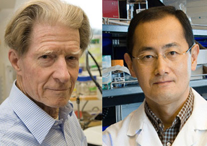 Induced Pluripotent Stem Cell Experiments by Takahashi and Shinya Yamanaka in 2006 and 2007_Nobel prize