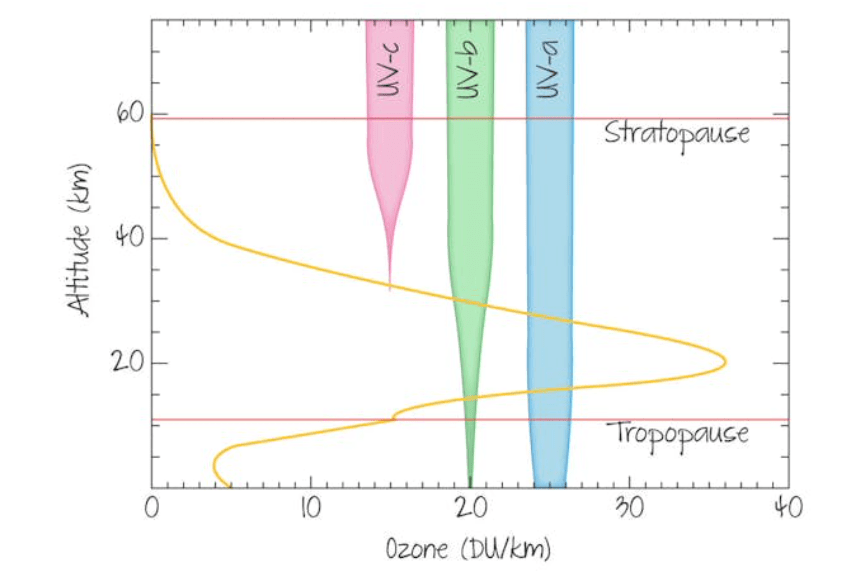 ☀️ Ozone and UV Radiation: Nature’s Shield in the Sky