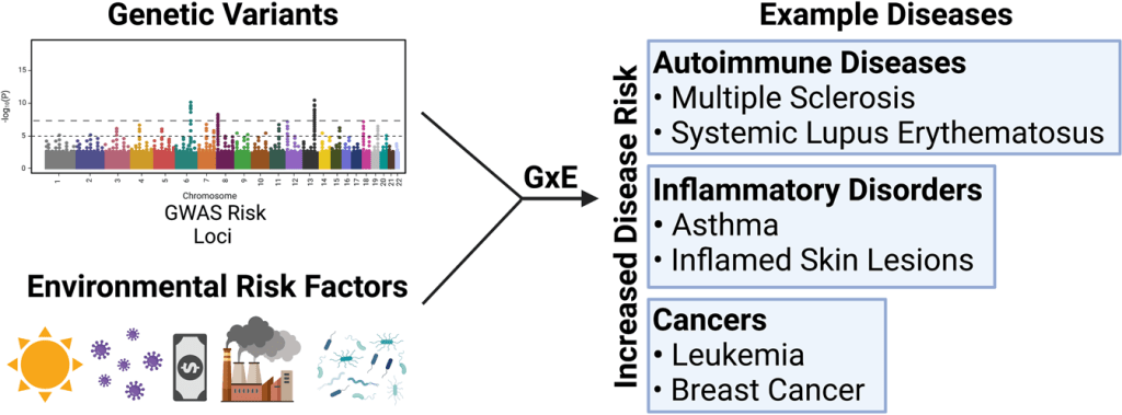 More Than the Sum of Your Genes: Understanding Polygenic Gene-Environment Interactions