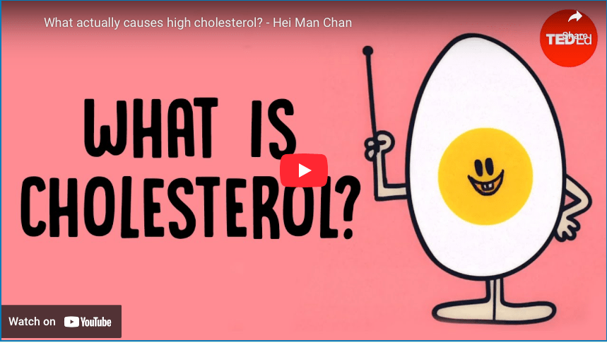 What actually causes high&nbsp;cholesterol?