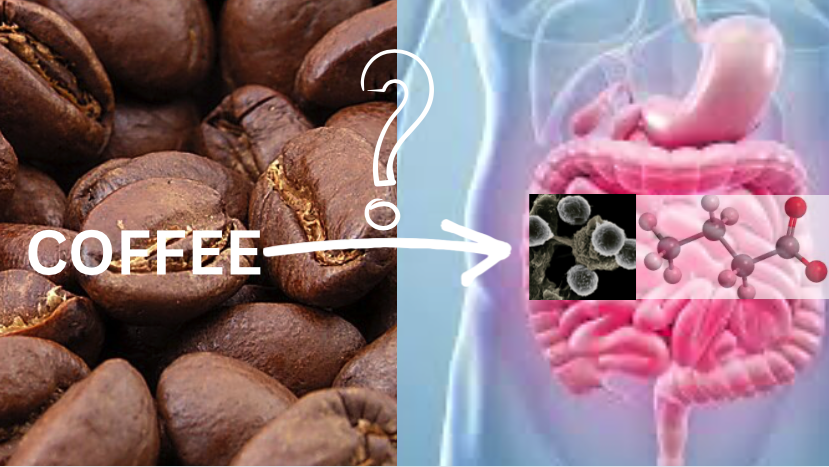 Coffee Consumption Promotes by Enriching Lawsonibacter asaccharolyticus and Enhancing Butyrate&nbsp;Production